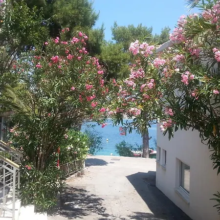 Milenka * Rogoznica (Sibenik-Knin)