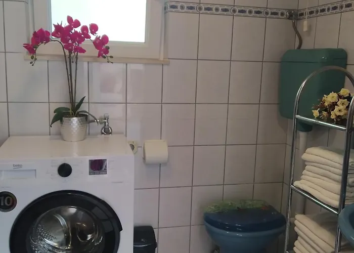 Milenka רוגוזניצה