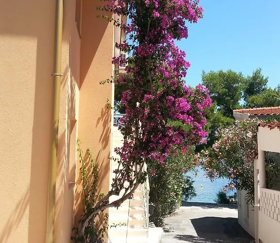 Milenka בית נופש *