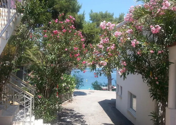 Milenka * רוגוזניצה